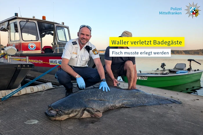 Somnul uriaș, împușcat de polițiști după ce a mușcat înotători FOTO: Polizei Mittelfranken