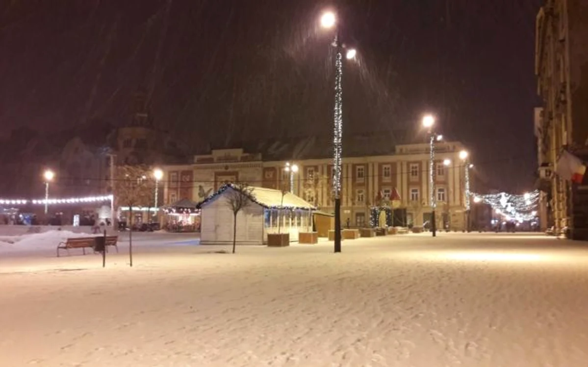 Prima ninsoare din 2019. Timişoara a îmbrăcat din nou haine albe FOTO Ş.Both