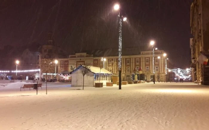 Prima ninsoare din 2019. Timişoara a îmbrăcat din nou haine albe FOTO Ş.Both