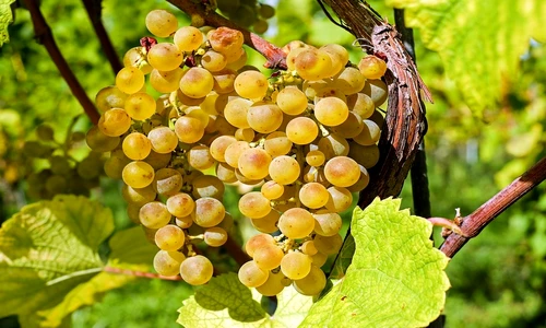 1 76941 original jpg jpeg