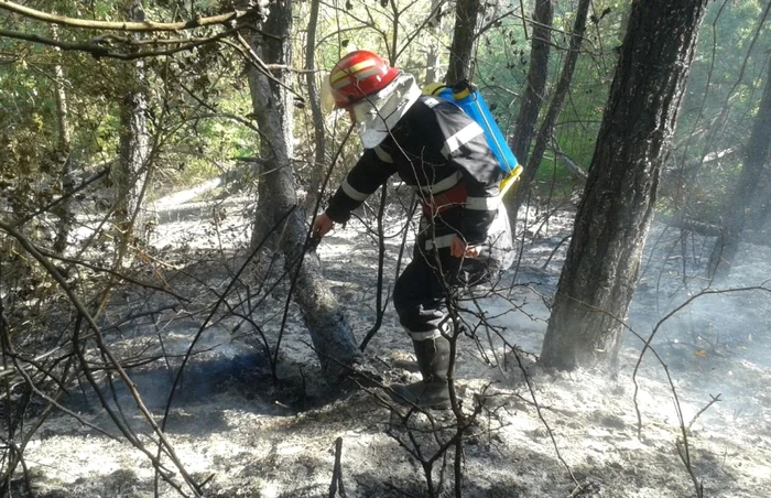 Zona unde se manifestă incendiul este greu accesibilă.