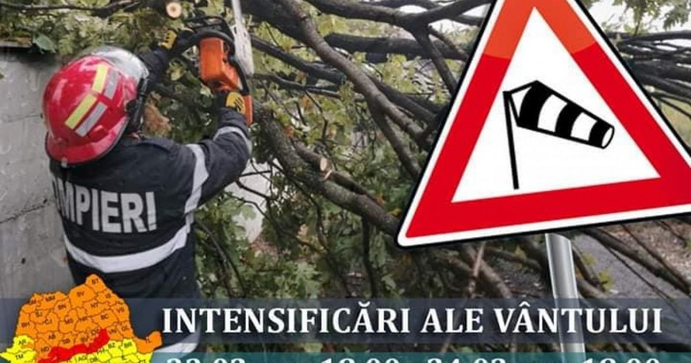 Vânt puternic în Sinaia și Măneciu. Mai mulți copaci au fost doborâți pe carosabil