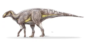 Kryptohadros kallaiae, un nou dinozaur descoperit în Țara Hațegului (© Geoparcul Internațional UNESCO Țara Hațegului)