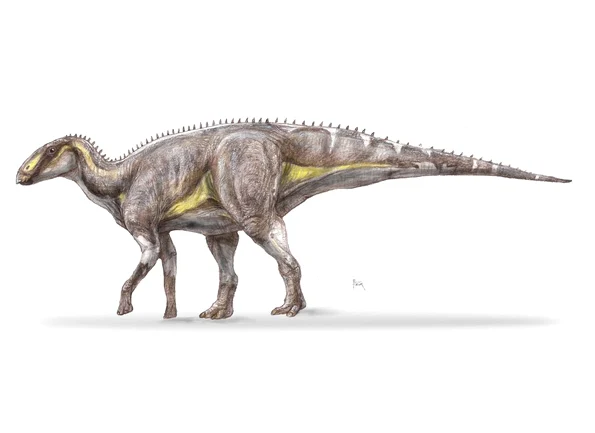 Kryptohadros kallaiae, un nou dinozaur descoperit în Țara Hațegului (© Geoparcul Internațional UNESCO Țara Hațegului)