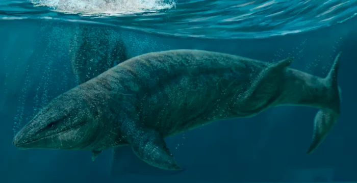 Reconstituirea noului specimen descoperit. Sursa: El País