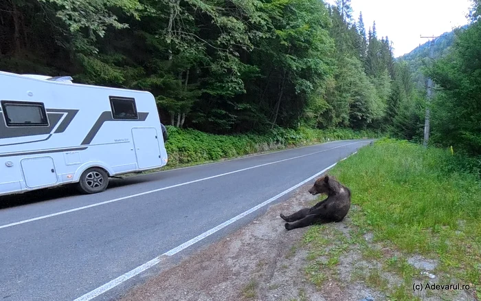  Transfăgărășan. Foto: Daniel Guță. ADEVĂRUL