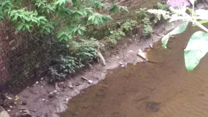 
    I s-a părut că vede un fragment dintr-un cadavruFoto Twitter  