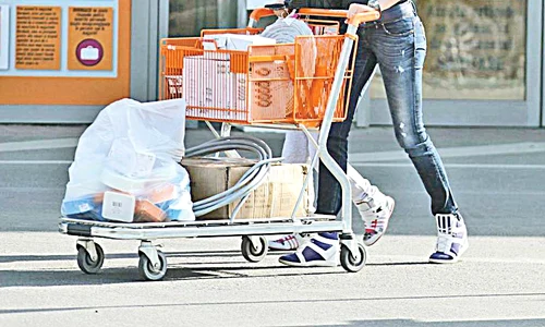 Brigitte, soţia lui  Ilie, a fost ca o  furnicuţă pe şantier  şi la cumpărături jpeg