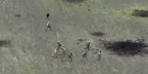 Captură de ecran 2023 05 10 184422 png