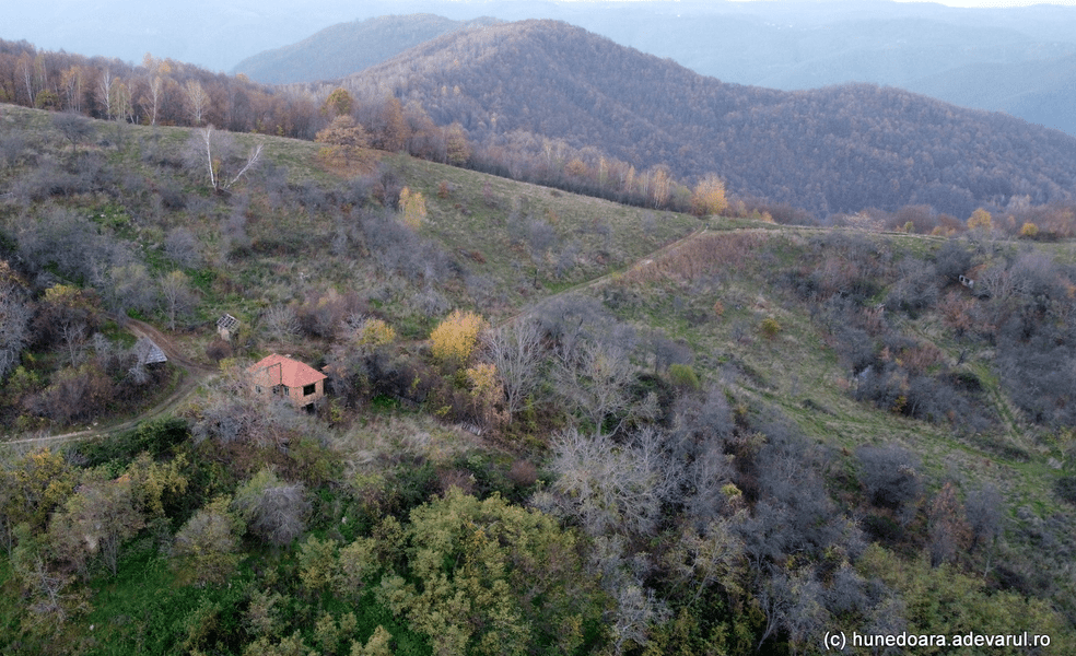 Mosoru, satul fără locuitori, înghițit de pădure. Cătunul din Hunedoara a fost abandonat complet VIDEO