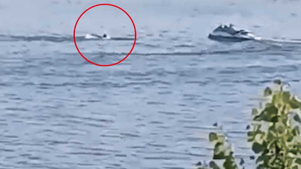 Imagini cu ultimele clipe din viața lui Flavius, tânărul de 19 ani înecat în Olt