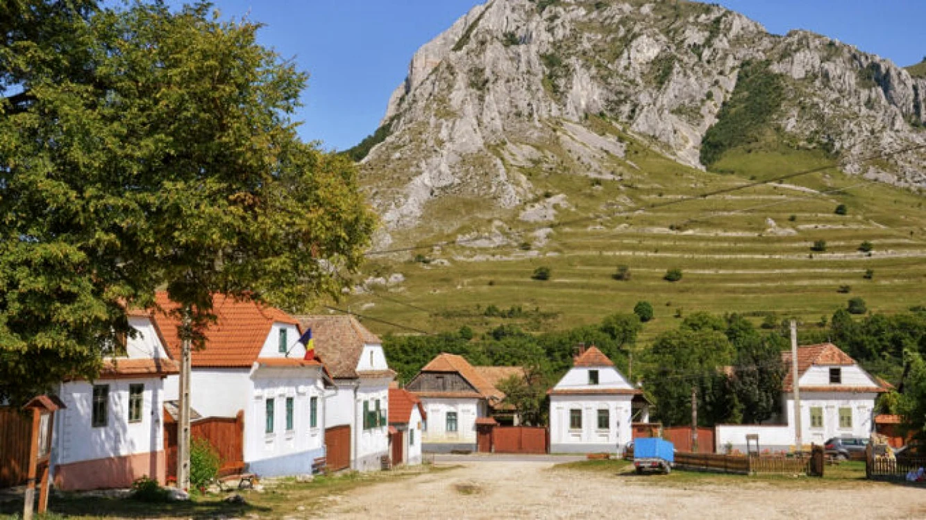rimetea alba