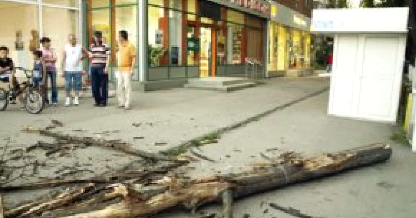 Hunedoara: VIDEO Pericol în centrul Hunedoarei: cad copacii bătrâni peste trecători