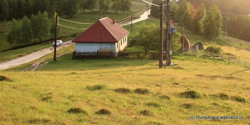 tarsa foto daniel guta adevarul