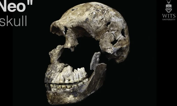 Hominizii primitivi au coabitat cu oamenii moderni? jpeg