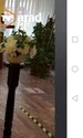 benone sinulescu1 jpeg