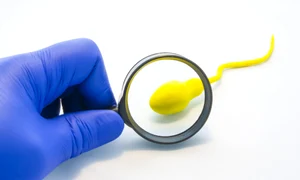 De la ce varsta incepe sa sune ceasul biologic al barbatilor  Sursa foto shutterstock 1290589387 jpg