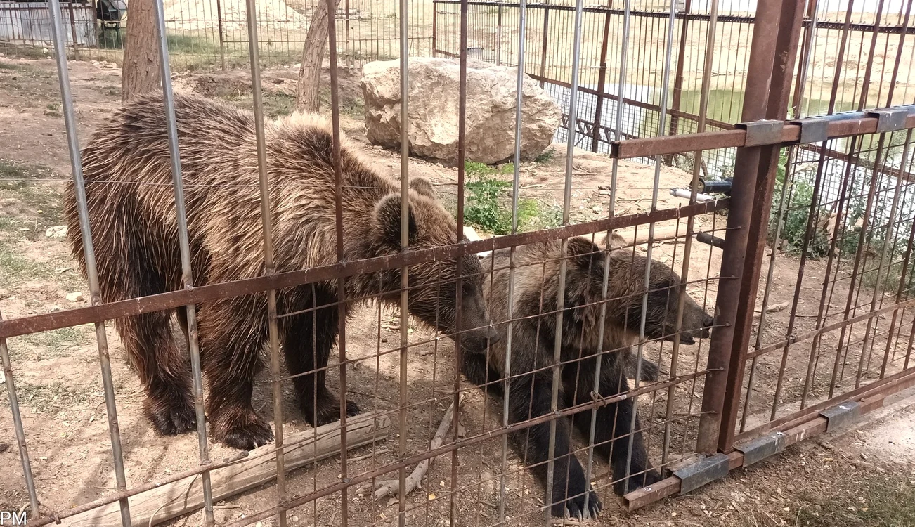 Grădină zoologică ilegală, descoperită în Dâmbovița FOTO: Facebook / Garda Națională de Mediu