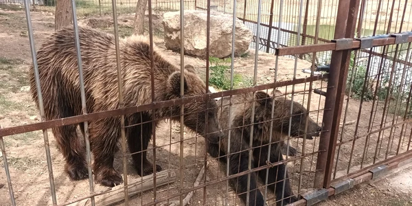 gradina zoologica ilegala dâmbovița foto facebook garda de mediu jpg
