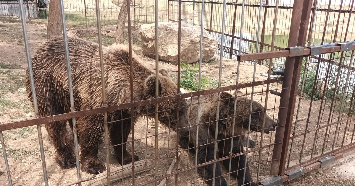 Grădină zoologică ilegală descoperită în Dâmbovița
