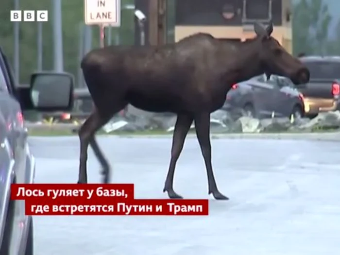 FOTO: Captură video
