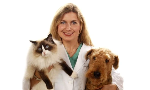 1 47465 original jpg jpeg