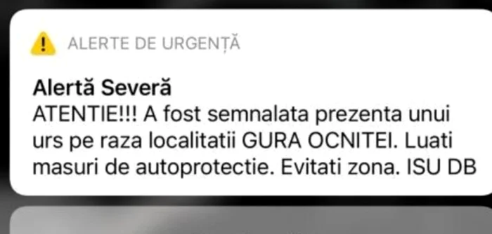 prezenta ursi dambovita