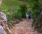 Fundătura Ponorului toamna Foto Lucian Ignat (7) jpg