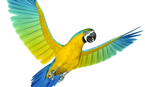 1 46738 original jpg jpeg