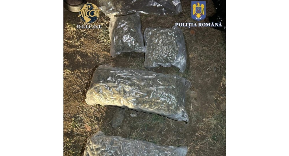 Trei tineri au fost prinși în flagrant când vindeau 2,5 kg de cannabis. Ce sumă cereau pe „marfă”