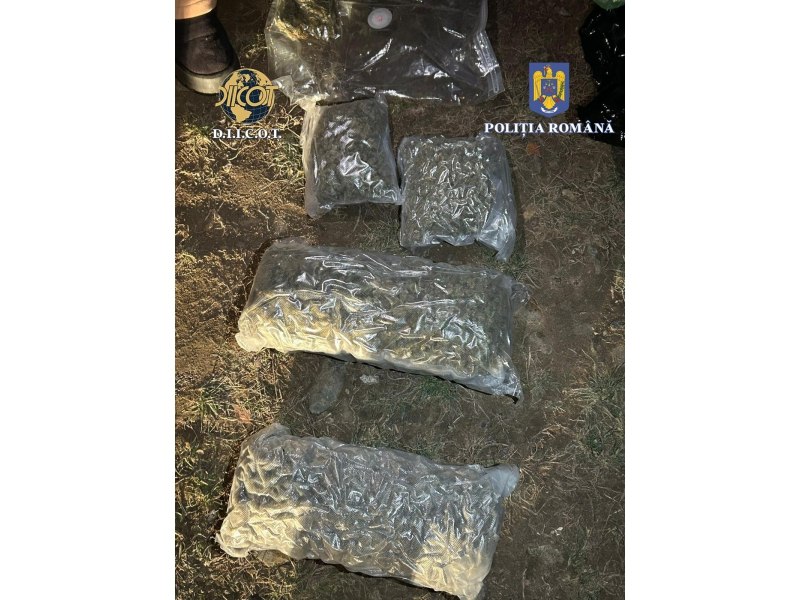 Traficanții care transportau cocaină în butoaie cu fructe congelate, trimiși în judecată