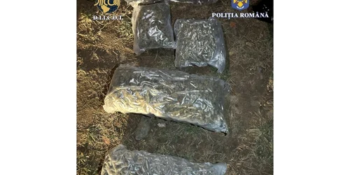 tineri prinși flagrant trafic droguri jpeg