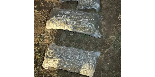 tineri prinși flagrant trafic droguri jpeg