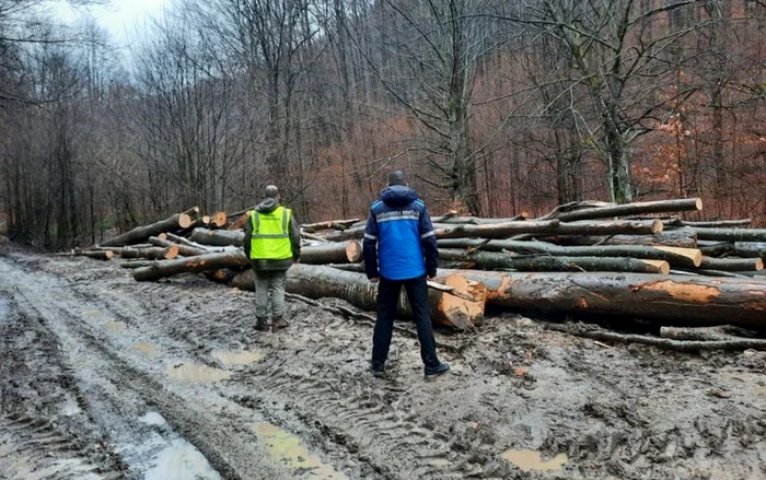 Patru angajați au fost trimiși în judecată FOTO Adevărul