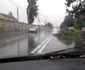 furtuna arad