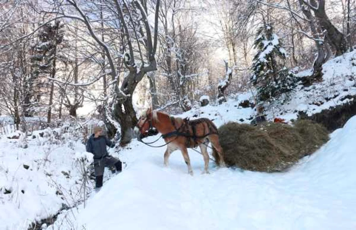 Curmătura Jieţului. Foto: Vasile Laurenţiu Sorin.