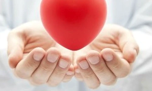 1 73619 original jpg jpeg