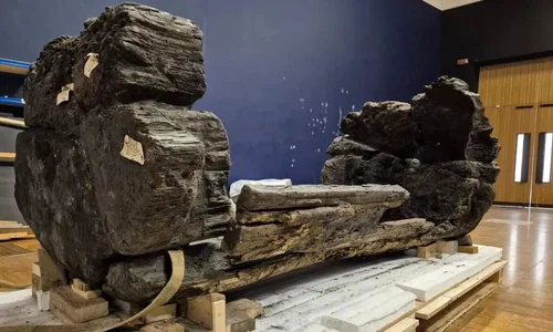 Sicriul a fost făcut dintr-un stejar scobit în interior (© York Archaeological Trust)