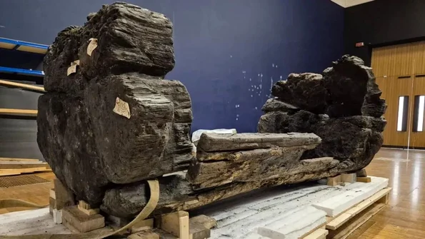 Sicriul a fost făcut dintr-un stejar scobit în interior (© York Archaeological Trust)