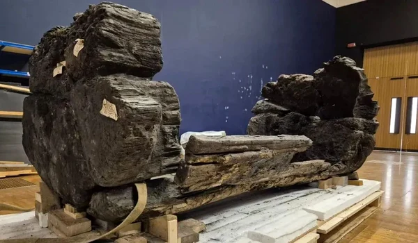 Sicriul a fost făcut dintr-un stejar scobit în interior (© York Archaeological Trust)