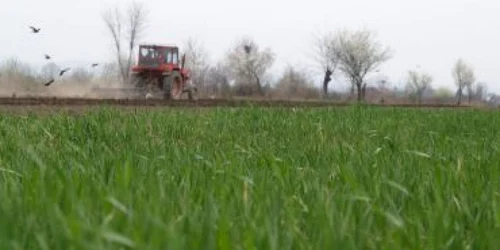 Ploieşti: Subvenţii pentru agricultori la 1 leu litrul de motorină