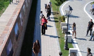 Ce nu v a plăcut? jpeg