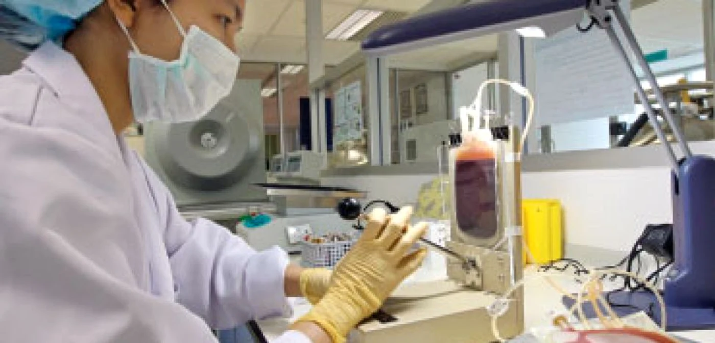 Cercetătorii au reuşit să obţină în laborator pui de şoareci proveniţi din două mame