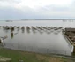 inundatii olt