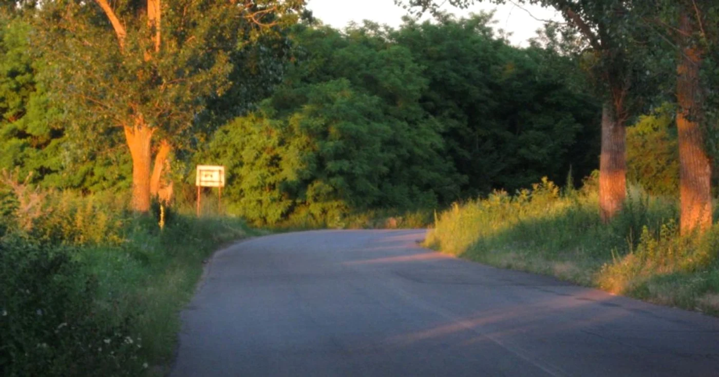 calarasi padure