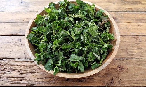 1 73572 original jpg jpeg