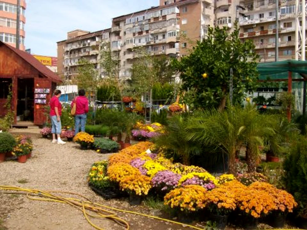 Grădina lui Dăncuş, o oază de verdeaţă în mijlocul oraşului