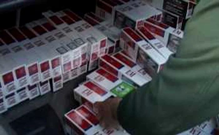 Ţigările nu aveau timbre fiscale româneşti. FOTO: ADEVĂRUL