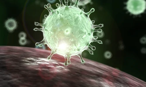 1 coronavirus 1 jpg jpeg