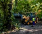 Bucureștiul începe lucrările de refacere a aleilor din Parcul Herăstrău FOTO: Facebook
